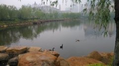 湖是活的，層層鱗浪隨風(fēng)而起