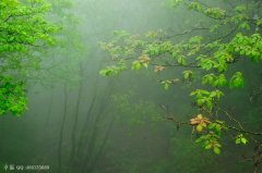 煙雨霏霏不肯收，氤氳掃盡復登樓
