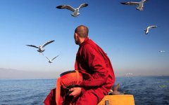 這個(gè)世界，沒有一種痛是單為你準(zhǔn)備的
