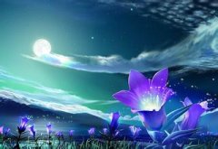 月的優(yōu)美句子