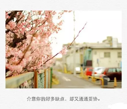 唯美愛情語錄