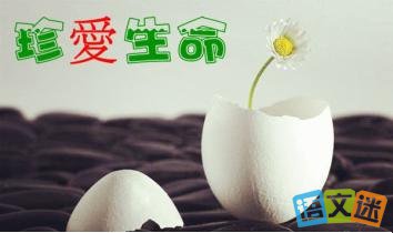 熱愛生命的名言