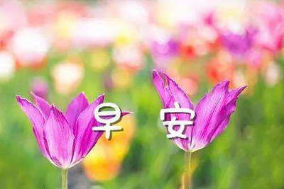 2021年會團(tuán)隊(duì)口號