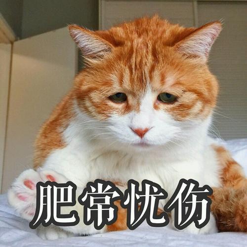 適合發(fā)朋友圈的不開心的句子