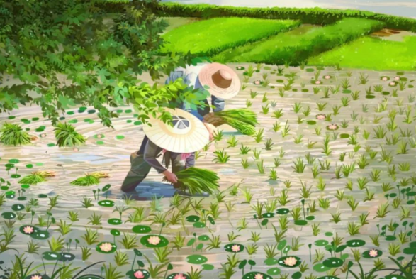 描寫芒種節(jié)氣的優(yōu)美詩(shī)詞   關(guān)于芒種的手抄報(bào)內(nèi)容