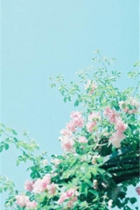 心情很不好不開心的句子