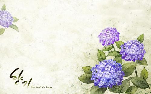 環(huán)境描寫的句子關于早晨開心