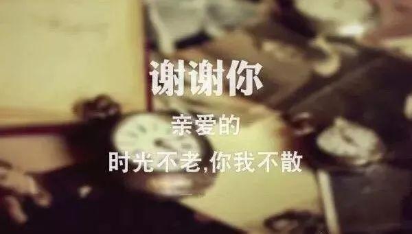2021年最走心的經典句子 情商高的人發(fā)的說說