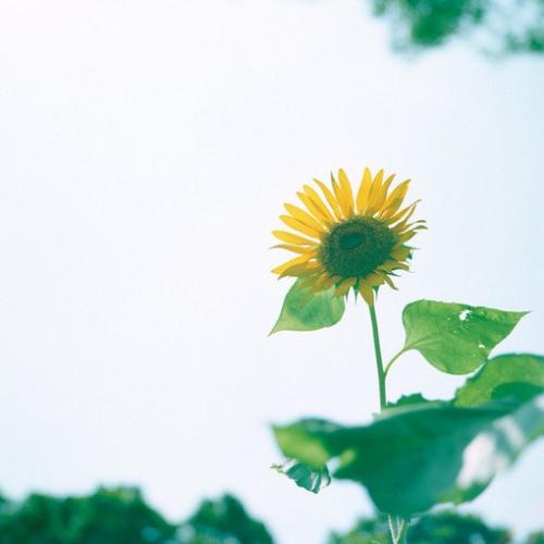 女生簽名簡(jiǎn)短個(gè)性簽名,簡(jiǎn)短走心