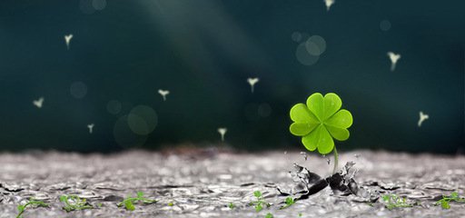 只要開心就好的句子  活在當(dāng)下開心就好的說說