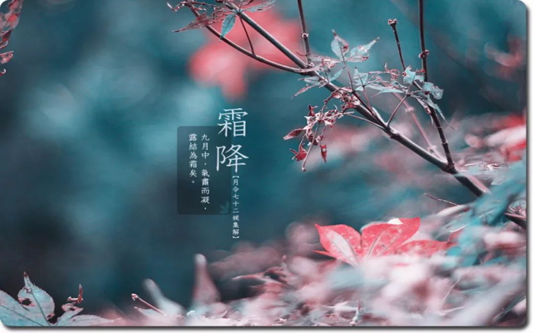 暖意綿綿的冬天句子 超治愈的霜降文案