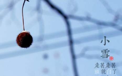 小雪節(jié)氣的唯美祝福語說說