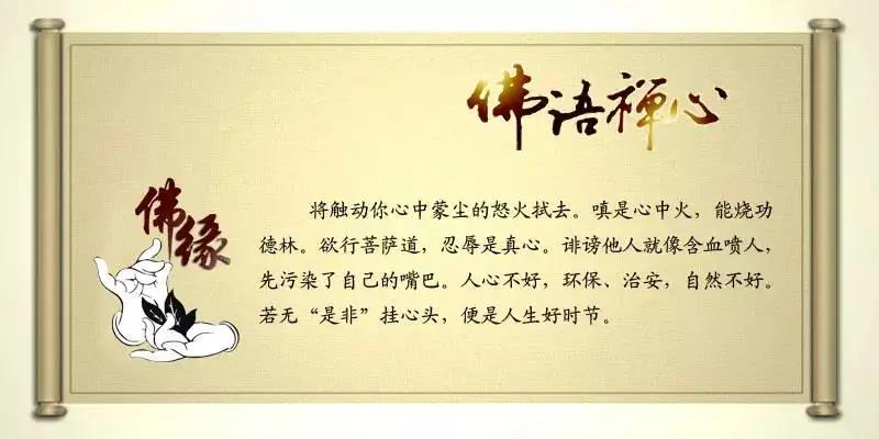 一日一禪經(jīng)典語(yǔ)錄