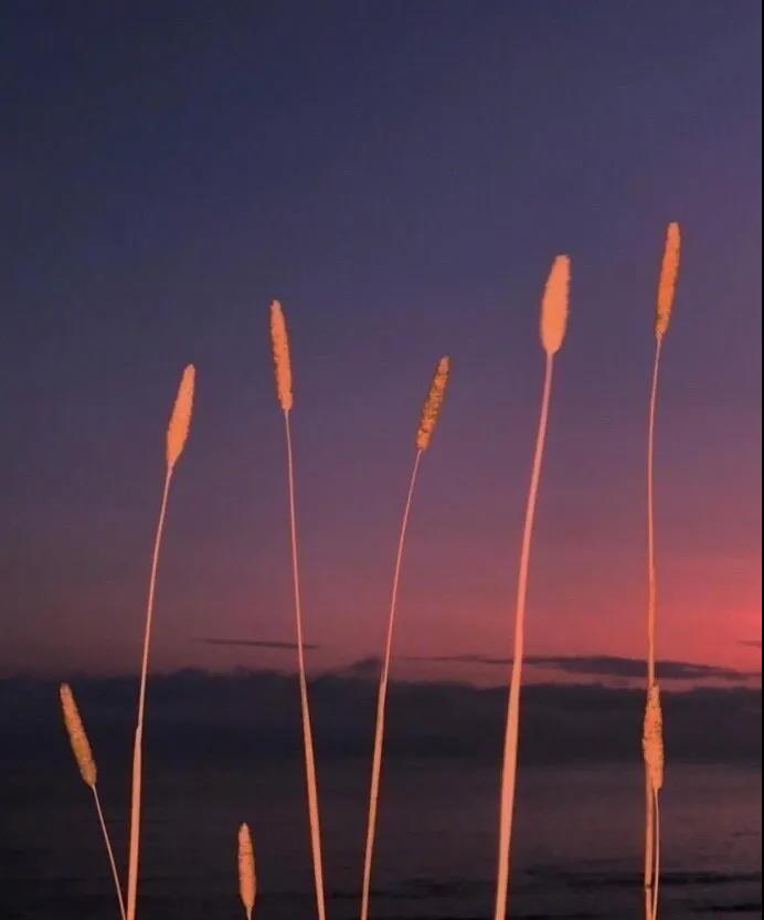 適合發(fā)說(shuō)說(shuō)的文案 朋友圈的句子