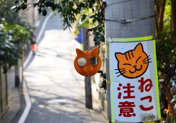 一起旅行很開(kāi)心的句子