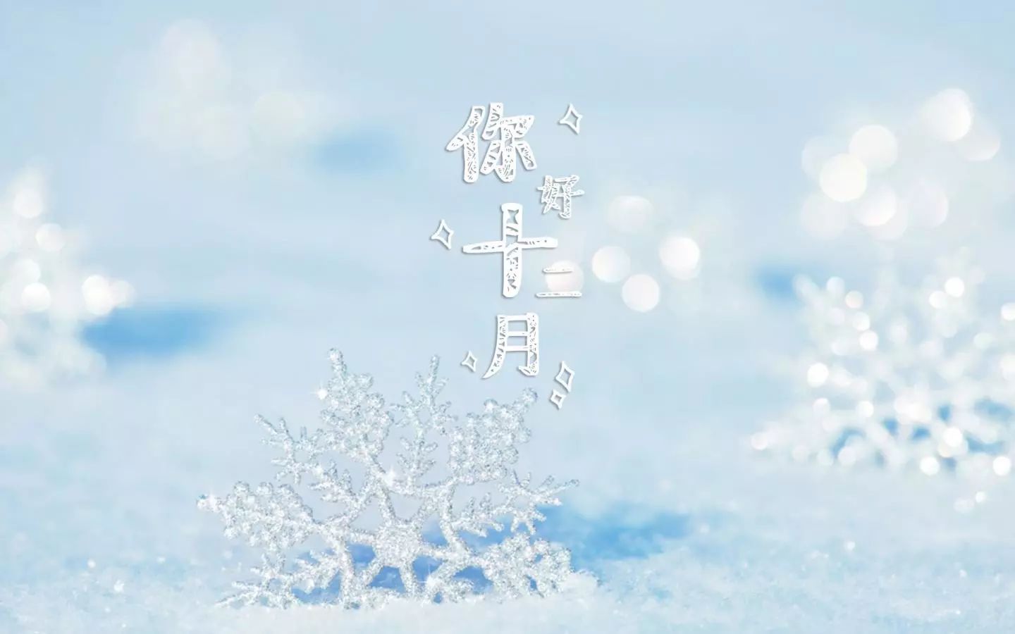 十一月再見十二月你好的句子