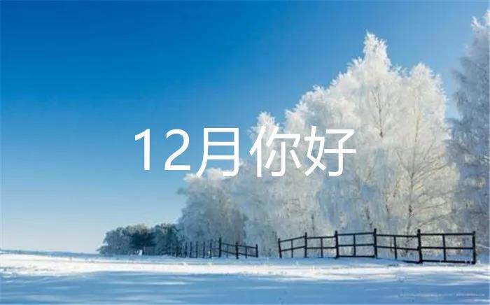 十二月你好的心情說說