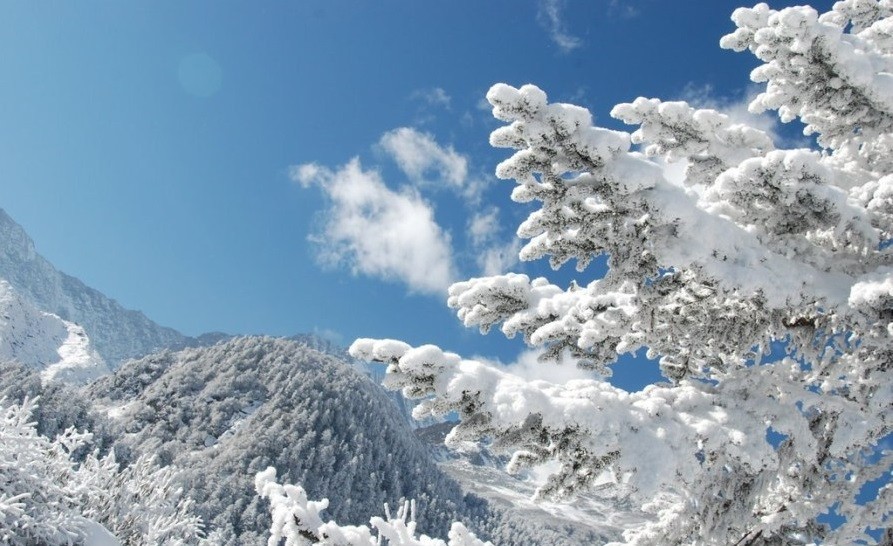 描寫(xiě)冬天下雪的句子