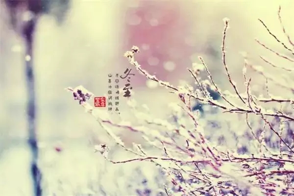 描寫(xiě)冬至的古詩(shī)句