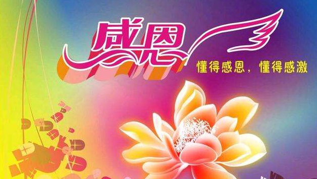 感恩的句子100字