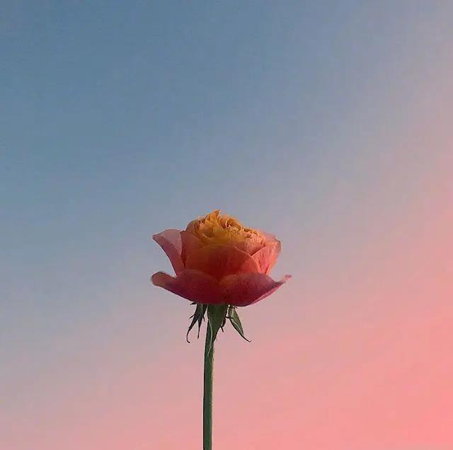 生病發(fā)燒的說說發(fā)朋友圈