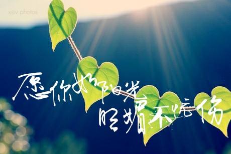  陽光明媚心情好的唯美句子、圖片