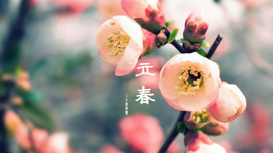 今天是立春的語句