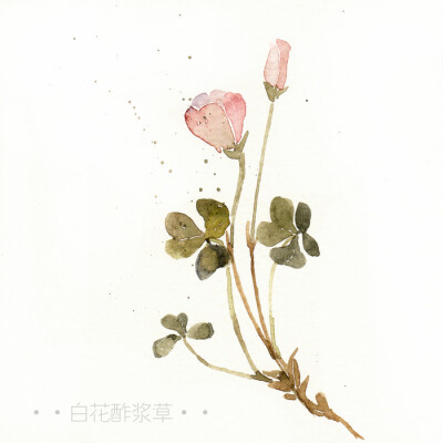 兩男一女的友情句子