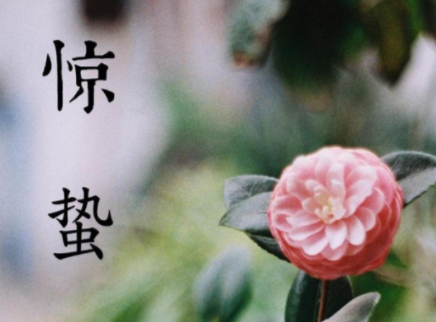  驚蟄祝福語(yǔ)簡(jiǎn)短一句