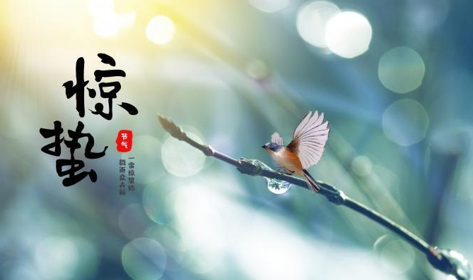 驚蟄節(jié)氣祝福語(yǔ)大全 驚蟄發(fā)朋友圈的經(jīng)典句子