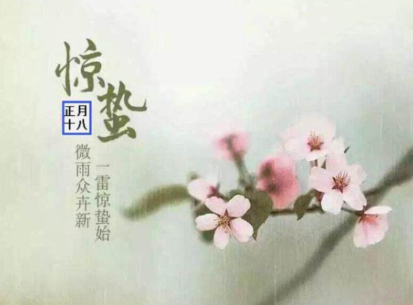 驚蟄唯美句子