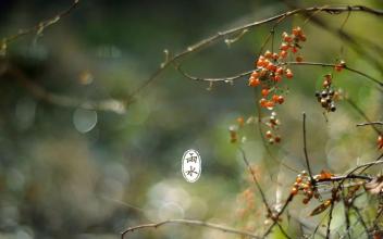 節(jié)氣雨水祝福語(yǔ)