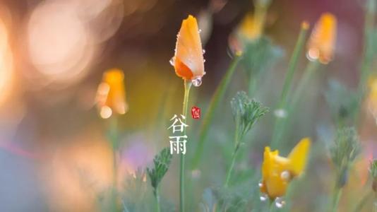 谷雨節(jié)氣祝福語(yǔ)