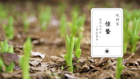 驚蟄節(jié)氣養(yǎng)生祝福語(yǔ)