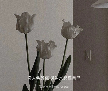 個性簡短優(yōu)美文案帶圖片說說 靜待漫天的繁星