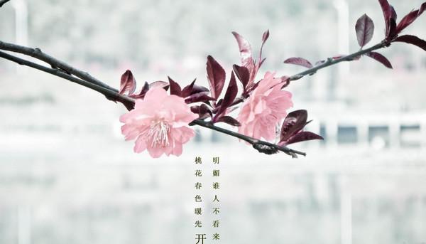 三月祝福簡(jiǎn)短