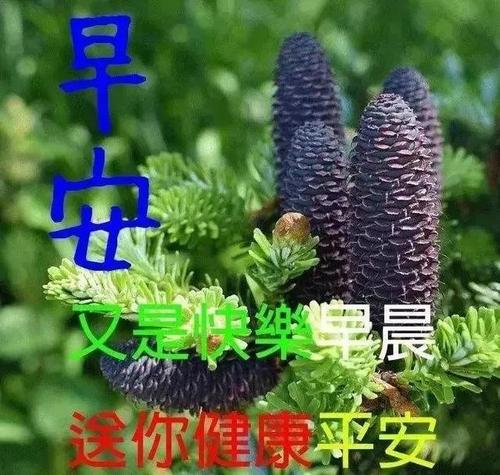 客戶(hù)維護(hù)短信溫馨短信早上問(wèn)候語(yǔ)