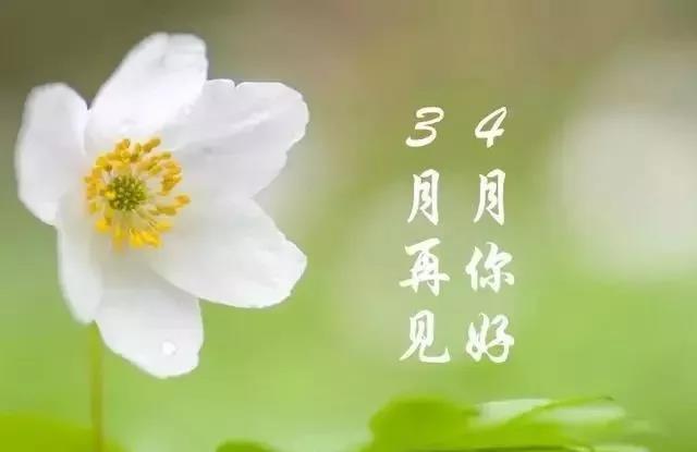 三月再見(jiàn)四月你好的早安句子