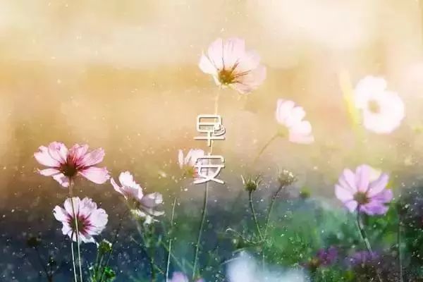 早安2022正能量簡(jiǎn)單一句話