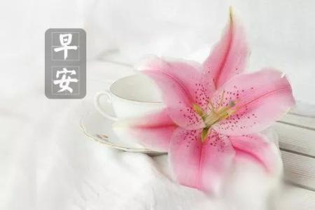 適合早上發(fā)朋友圈的句子