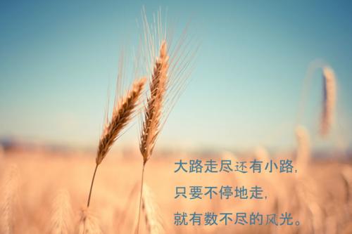 超級(jí)有個(gè)性勵(lì)志的句子