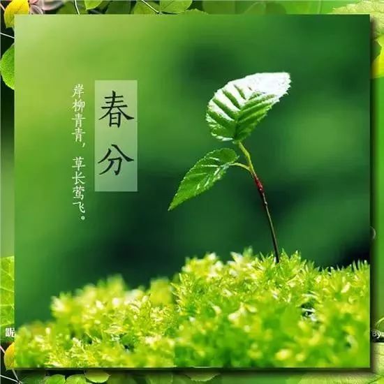 描寫春分時(shí)節(jié)的詩(shī)句