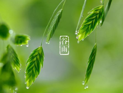 好聽有意境的谷雨句子