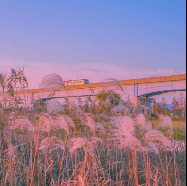 我愛你又很無奈的句子