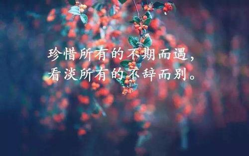 看了能讓人秒哭的句子
