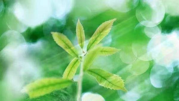帶與眾不同的口號