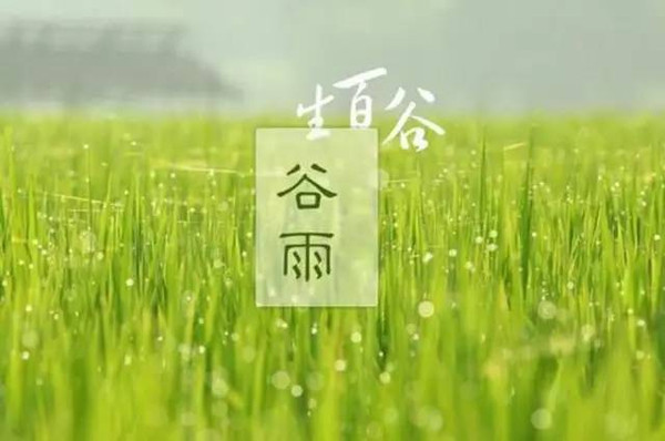 谷雨節(jié)氣發(fā)的朋友圈