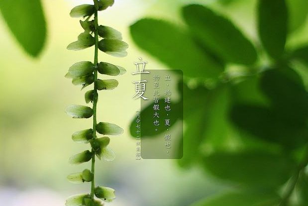關于立夏的美好詩句