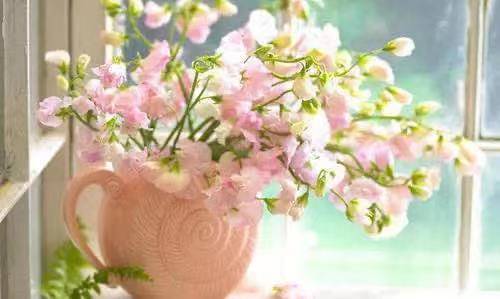感動(dòng)的句子說說心情友情