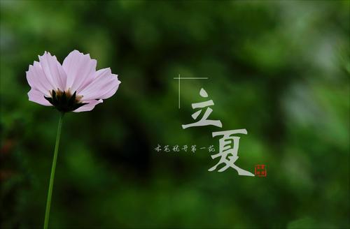 立夏說(shuō)說(shuō)文案